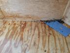2024 Cynergy Enclosed Cargo Trailer for Sale in Conway, AR - All Over