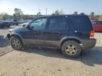 2004 Ford Escape Xlt for Sale in Gaston, SC - All Over