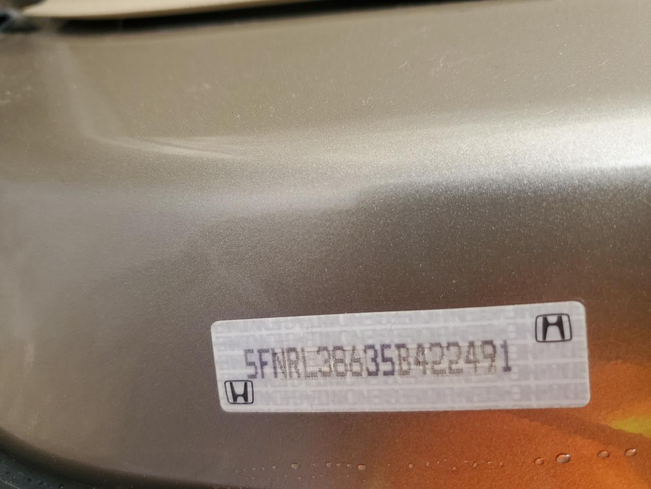 2005 Honda Odyssey Exl VIN: 5FNRL38635B422491 Lot: 54388695