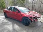2024 TESLA MODEL 3  for sale at Copart ON - COOKSTOWN