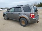 2011 Ford Escape Xlt იყიდება Bowmanville-ში, ON - Top/Roof