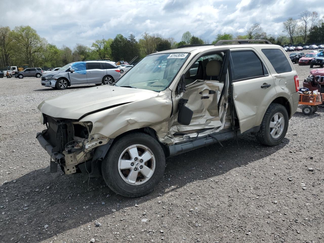 Madisonville, TN에서 판매 중인 2010 Ford Escape Xlt - All Over