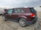 2011 Kia Sorento Ex na sprzedaż w Jacksonville, FL - Front End