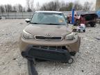 2015 Kia Soul  zu verkaufen in Wayland, MI - All Over