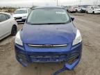 2016 Ford Escape Se იყიდება Indianapolis-ში, IN - Rear End