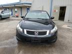 2010 Honda Accord Exl للبيع في Memphis، TN - Rear End