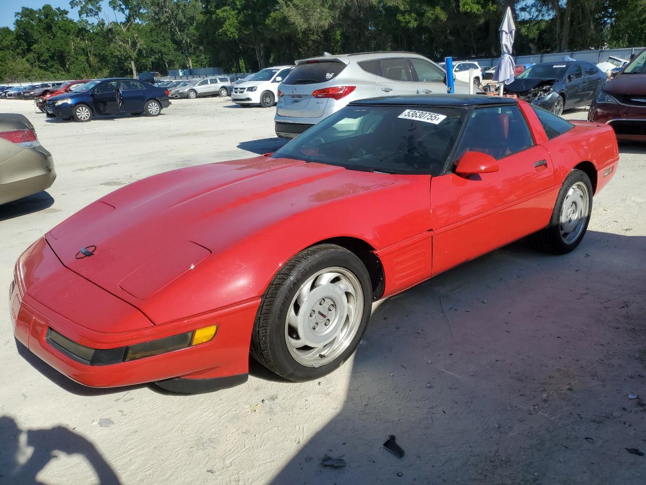 1991 Chevrolet Corvette იყიდება Ocala-ში, FL - Burn - Engine