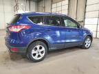 2013 Ford Escape Se for Sale in Blaine, MN - Front End