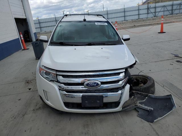  FORD EDGE 2013 Білий