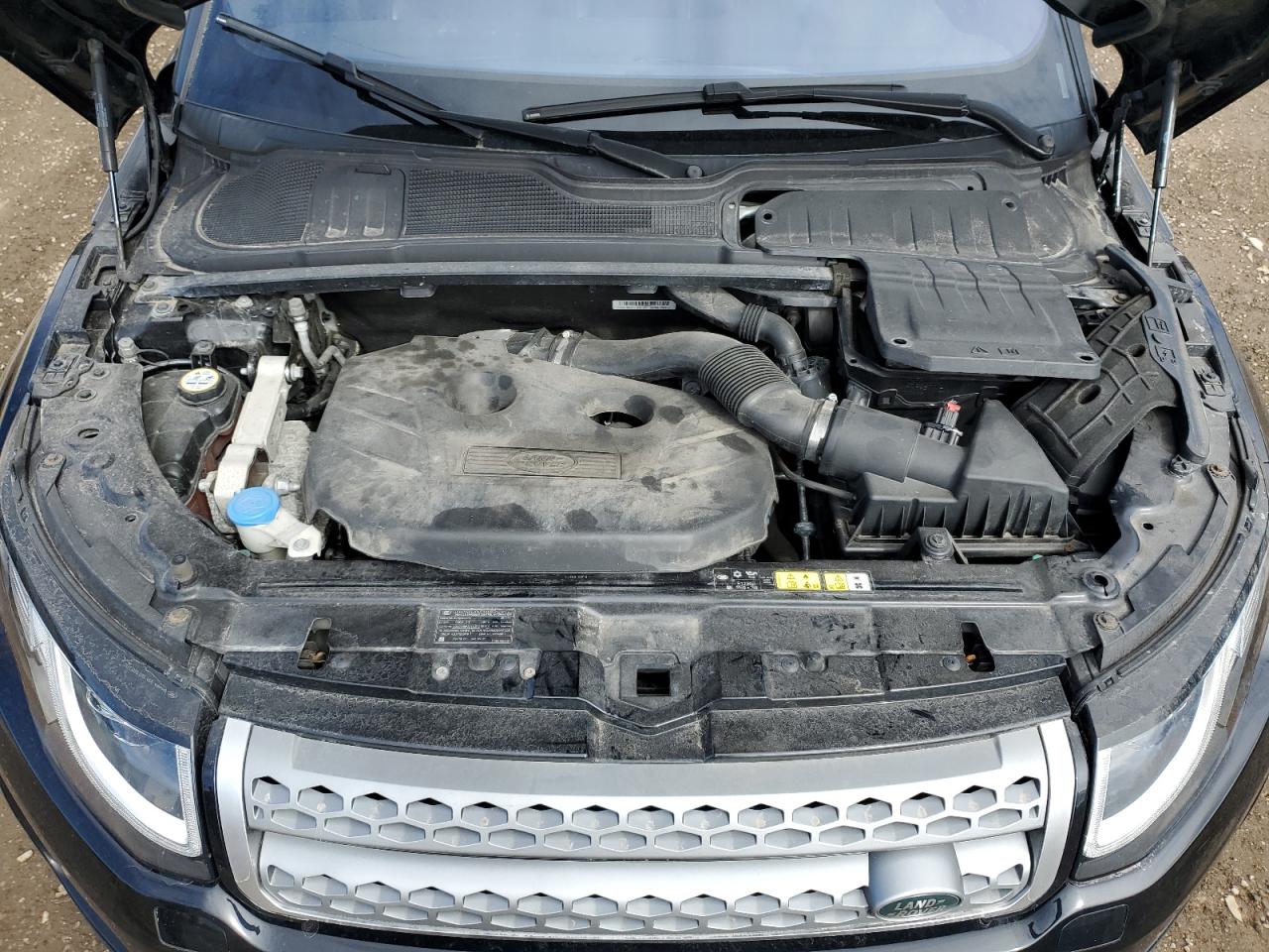 2017 Land Rover Range Rover Evoque Se VIN: SALVP2BG0HH223605 Lot: 53533705