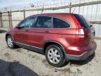2008 Honda Cr-V Exl de vânzare în Los Angeles, CA - Front End