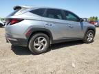 2024 Hyundai Tucson Se   de vânzare în Mercedes, TX - Water/Flood