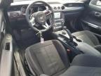 2023 Ford Mustang  იყიდება Houston-ში, TX - Rear End