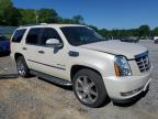 2010 Cadillac Escalade Hybrid на продаже в Gastonia, NC - Minor Dent/Scratches
