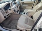 2009 Ford Escape Xlt იყიდება Miami-ში, FL - Front End