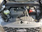 2025 Ford Maverick Xl for Sale in Mercedes, TX - Water/Flood