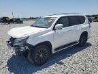 2023 Lexus Gx 460 for Sale in Arcadia, FL - Front End