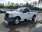 2013 Ford F150  for Sale in Harleyville, SC - Rear End