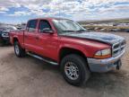 2002 Dodge Dakota Quad Slt for Sale in Albuquerque, NM - Front End