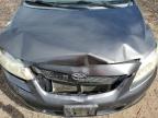 2010 Toyota Corolla Base na sprzedaż w Kapolei, HI - Front End
