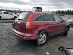 2010 HONDA CR-V EX for sale at Copart NS - HALIFAX