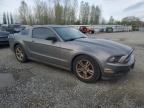 2014 Ford Mustang  for Sale in Arlington, WA - Rear End