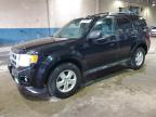 2012 Ford Escape Xlt for Sale in Woodhaven, MI - Normal Wear