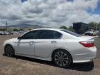 2013 Honda Accord Sport for Sale in Kapolei, HI - Front End