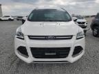 2014 Ford Escape Titanium на продаже в Earlington, KY - Hail