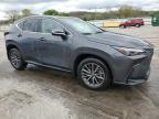 2025 Lexus Nx 250 Premium للبيع في Lebanon، TN - Water/Flood