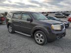 2012 Honda Pilot Exl للبيع في Earlington، KY - Hail