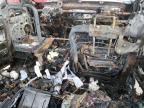 2002 Ford F250 Super Duty за продажба в Tanner, AL - Burn