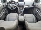 2016 Ford Escape Se en Venta en Orlando, FL - Front End