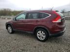 2013 Honda Cr-V Exl за продажба в Louisville, KY - Hail