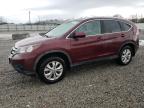 2013 Honda Cr-V Exl за продажба в Louisville, KY - Hail