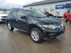 2014 Nissan Murano S продається в Louisville, KY - Hail
