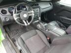 2013 Ford Mustang  for Sale in Chatham, VA - Front End