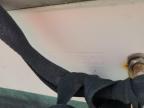 1996 Cobia Walkaround for Sale in Arcadia, FL - All Over