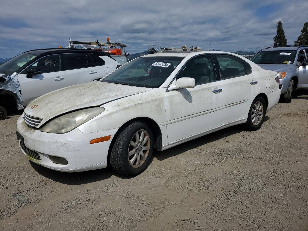 2002 Lexus Es 300 за продажба в American Canyon, CA - Minor Dent/Scratches