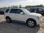2011 Ford Escape Limited იყიდება Chatham-ში, VA - Side