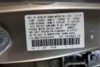 2008 Honda Accord Lxp იყიდება Anthony-ში, TX - Minor Dent/Scratches