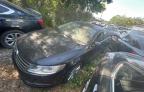 2013 Volkswagen Cc Sport de vânzare în Apopka, FL - Water/Flood