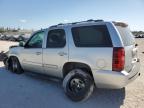 2013 Chevrolet Tahoe C1500 Lt იყიდება West Palm Beach-ში, FL - All Over