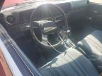 1981 Datsun 510    en Venta en Arlington, WA - Rear End
