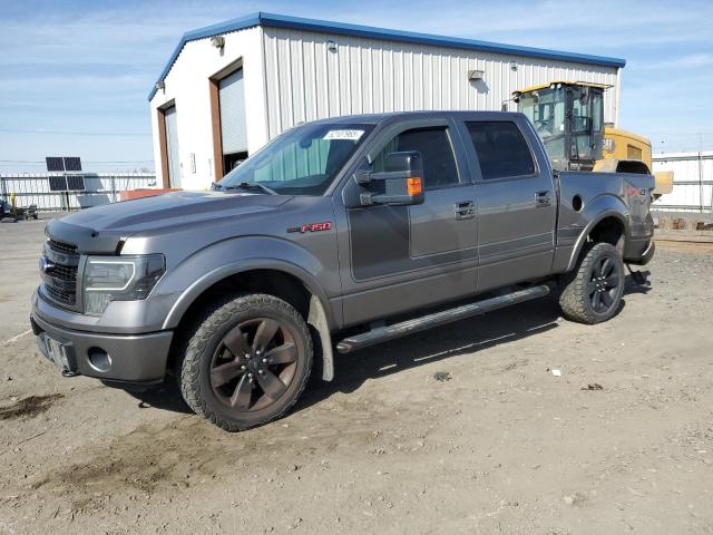  FORD F-150 2013 Сріблястий