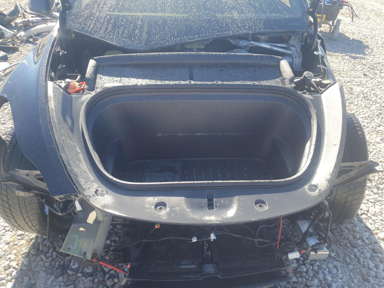 2023 Tesla Model Y VIN: 7SAYGAEE5PF711801 Lot: 55168875