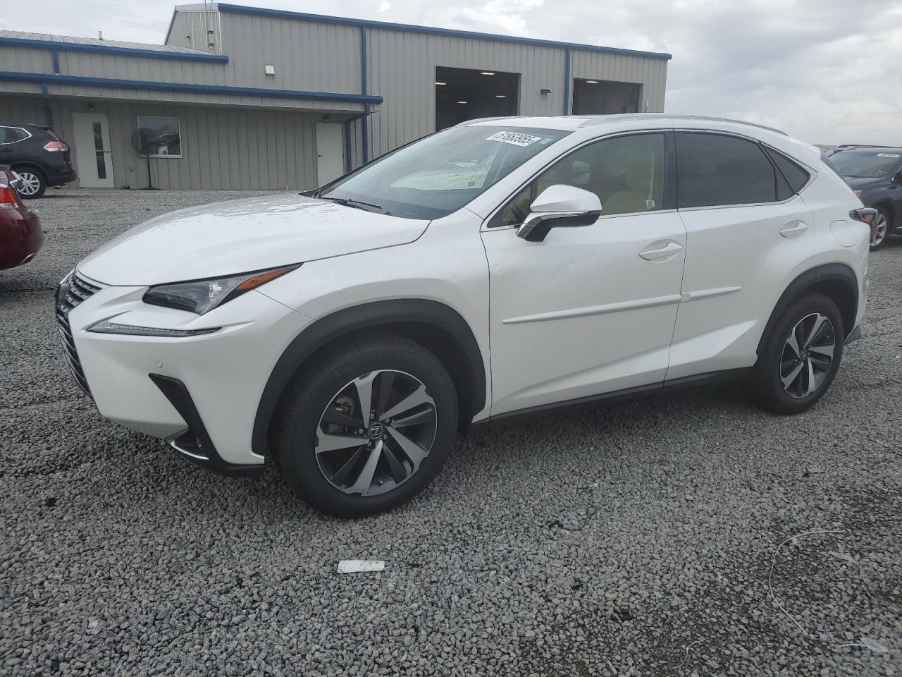 2020 Lexus Nx 300 for Sale in Earlington, KY - Hail