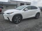 2020 Lexus Nx 300 for Sale in Earlington, KY - Hail