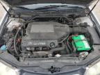 2002 Acura 3.2Tl  en Venta en Louisville, KY - Hail