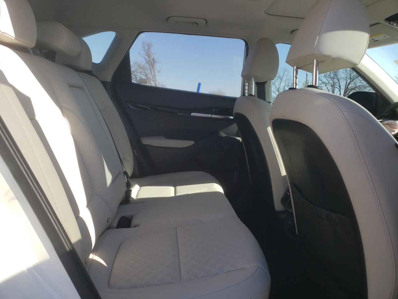 2023 Kia Seltos Ex VIN: KNDERCAA6P7467512 Lot: 52019595